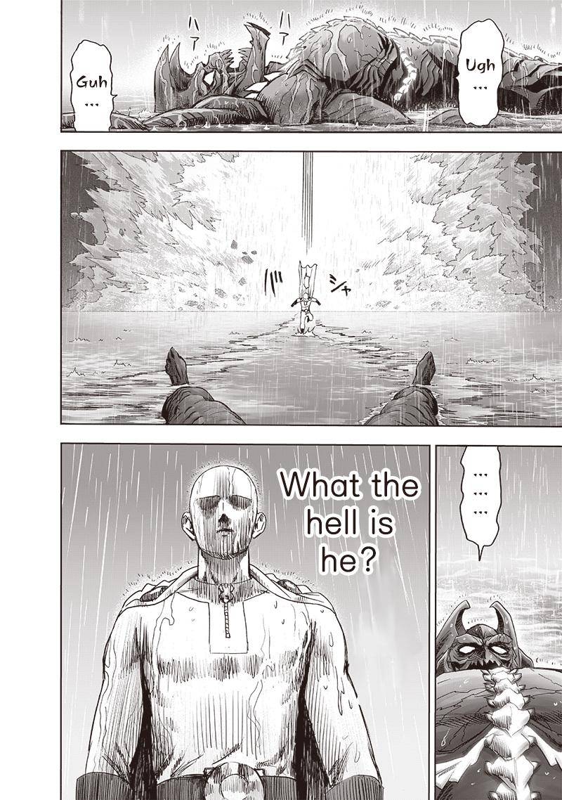 One-Punch Man, Chapter 164.1 image 25